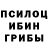 Псилоцибиновые грибы мухоморы bat Manya