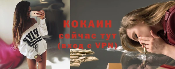 гашик Михайлов