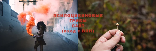 гашик Михайлов