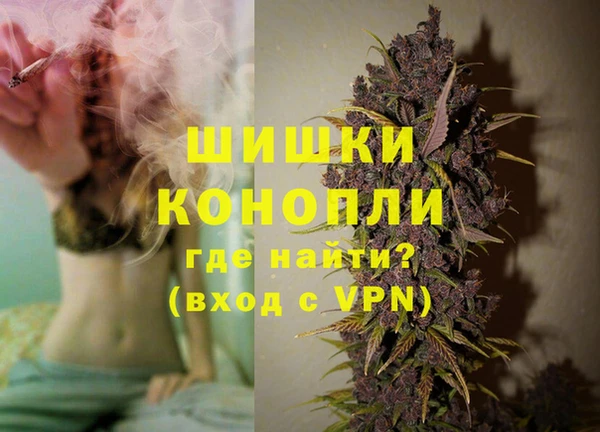 гашик Михайлов