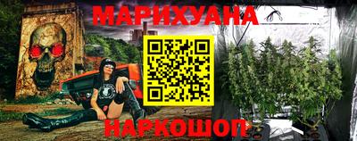 шишки Будённовск