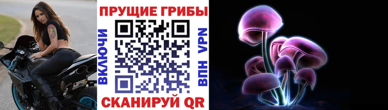Псилоцибиновые грибы Magic Shrooms  Корсаков 