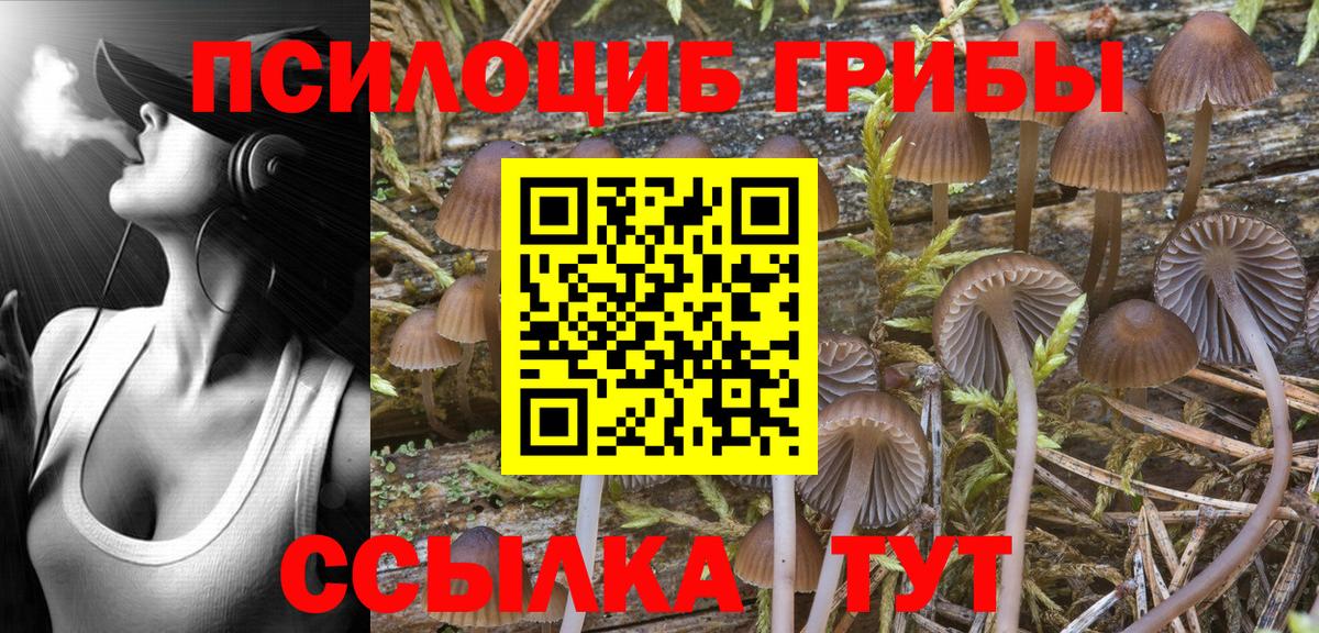 Псилоцибиновые грибы мицелий Корсаков