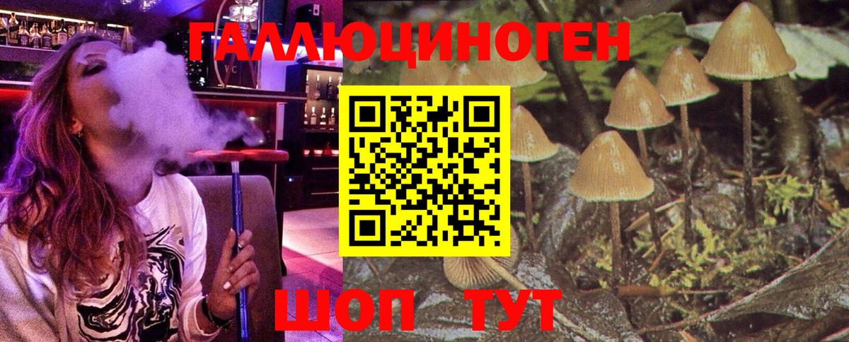Псилоцибиновые грибы Psilocybine cubensis  Вход с VPN  Корсаков 